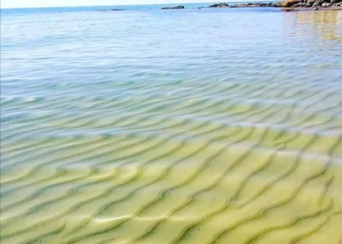 公寓 Harmony 阿沃拉